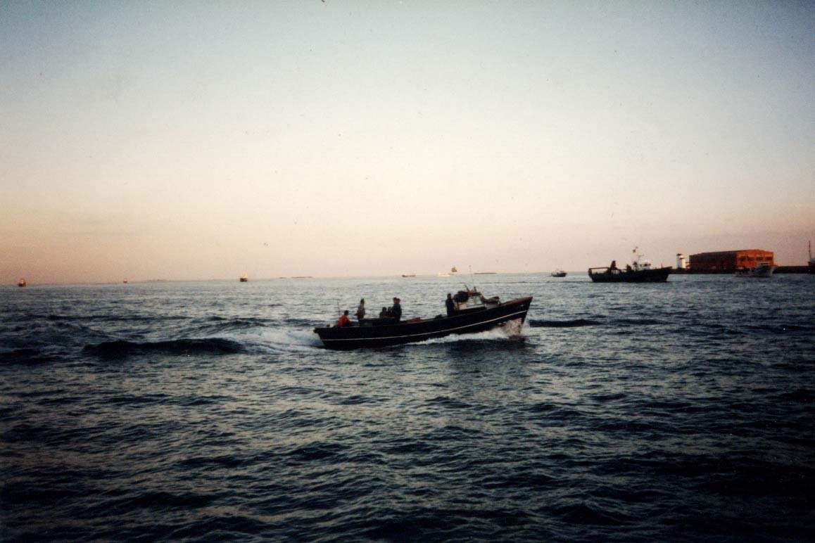 Imagen de Capitol 5 - 1990